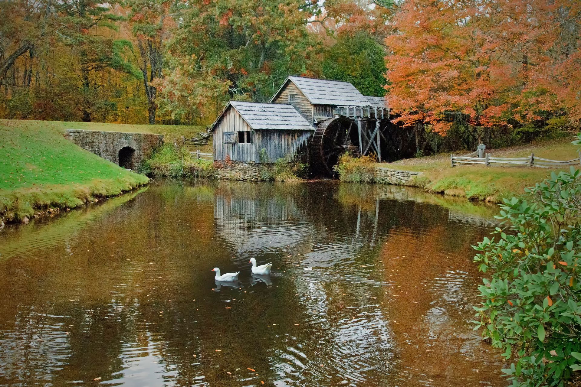 metal print photo