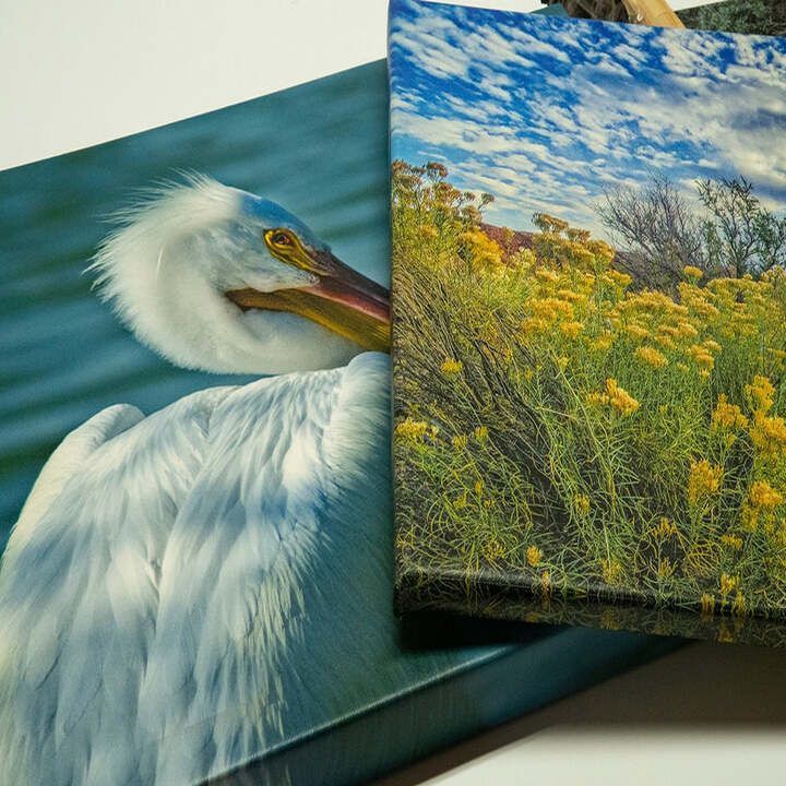Sample canvas prints for display