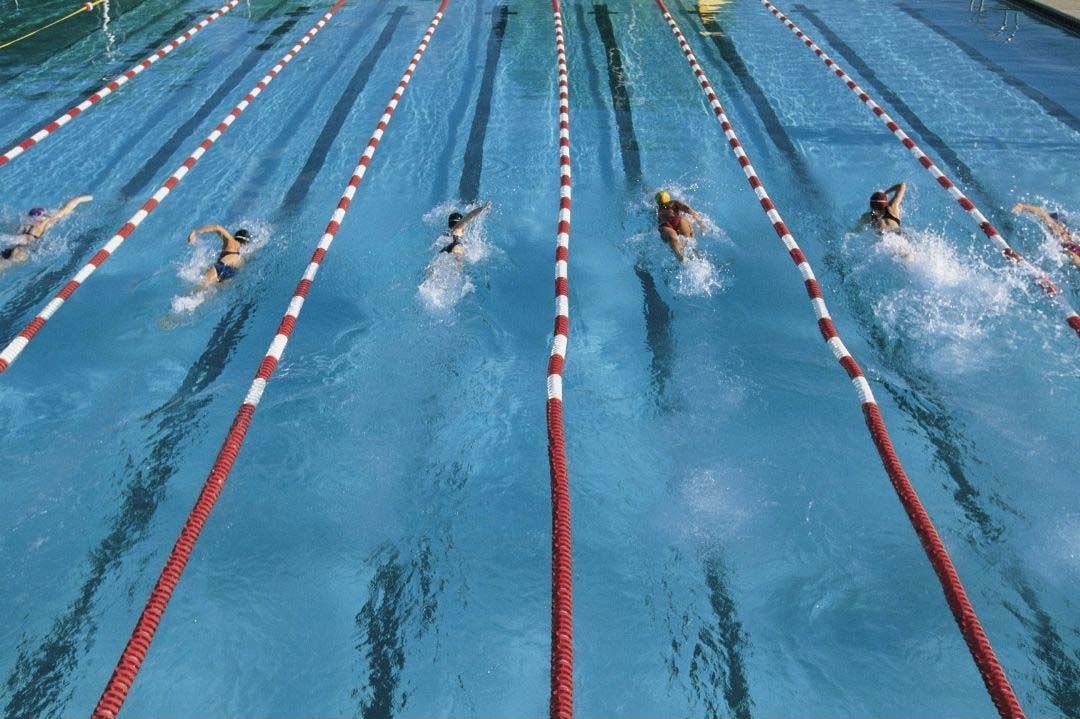 swimmers racing in a pool with lanes