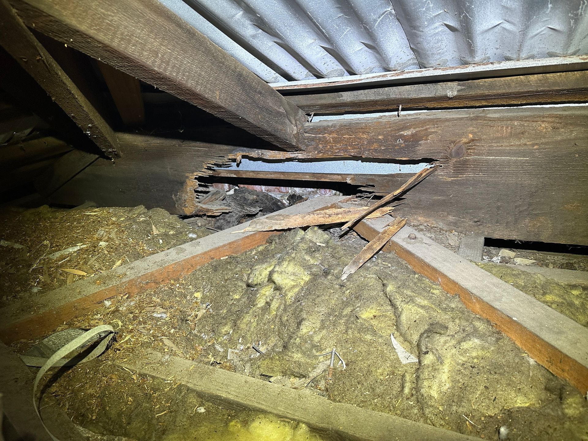 The #1 Defect in Building Inspections — Pro Vision Property Inspections in Merewether, NSW