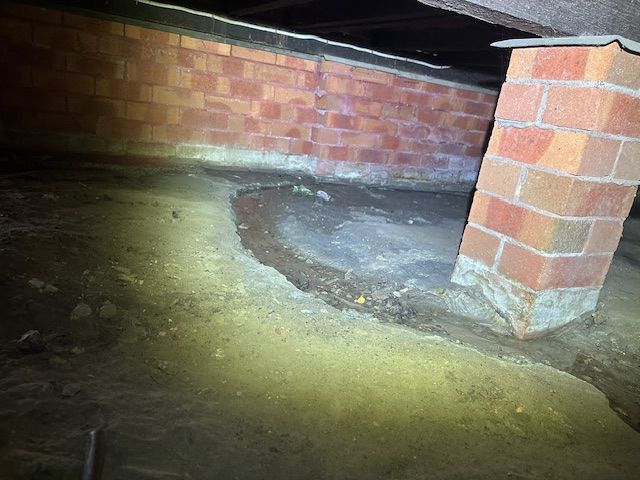 Subfloor Drainage — Pro Vision Property Inspections in Merewether, NSW