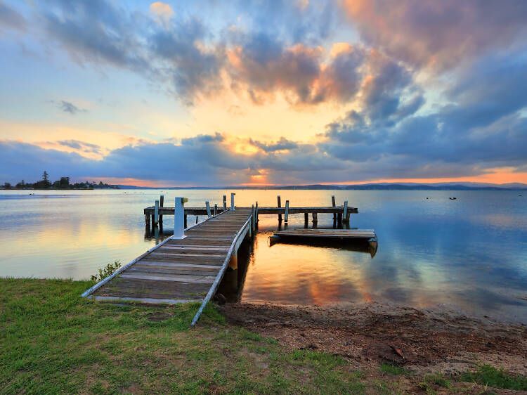 Three Pelicans Standing On Rocks In The Water With A Boat — Pro Vision Property Inspections In Lake Macquarie, NSW