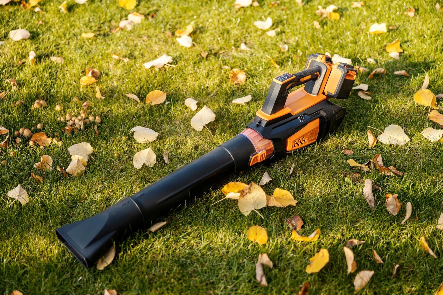 Black-and-orange leaf blower resting on grass covered with fallen yellow leaves