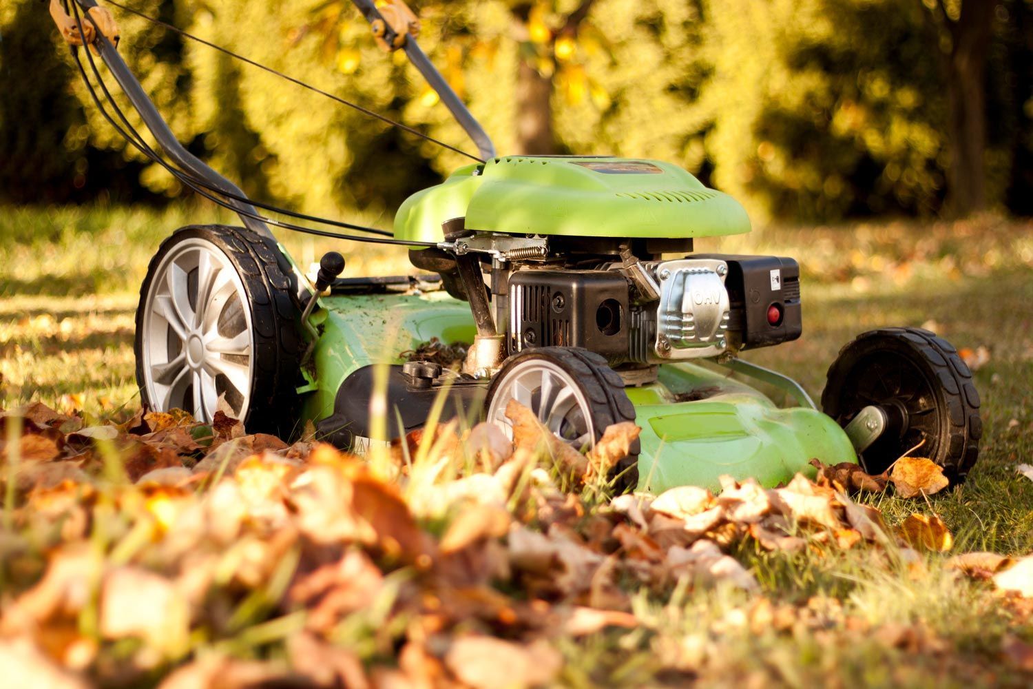 Green lawn mower in a leaf-covered yard, with autumn leaves in the foreground.