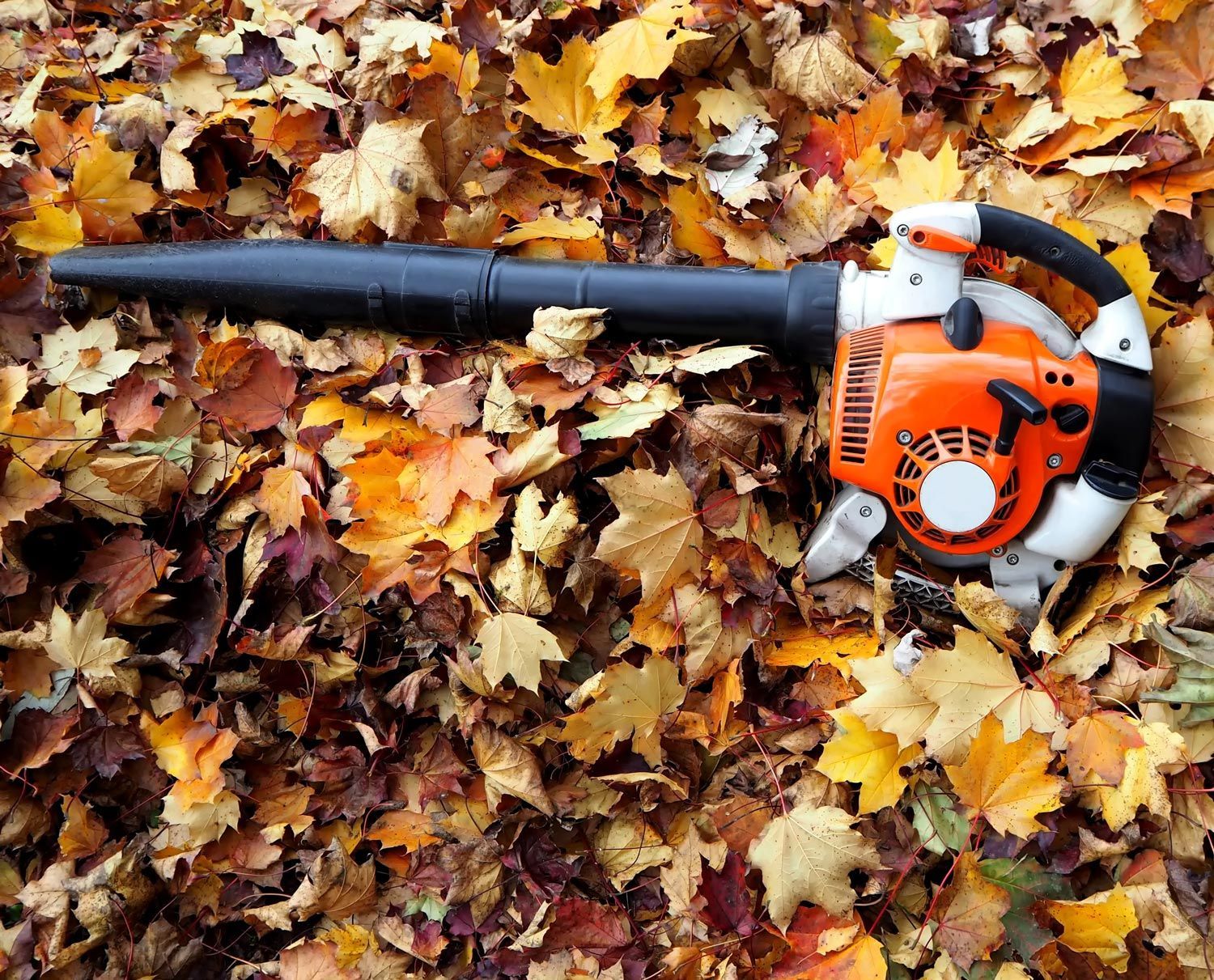 Orange leaf blower on autumn leaves, with black nozzle and orange motor housing