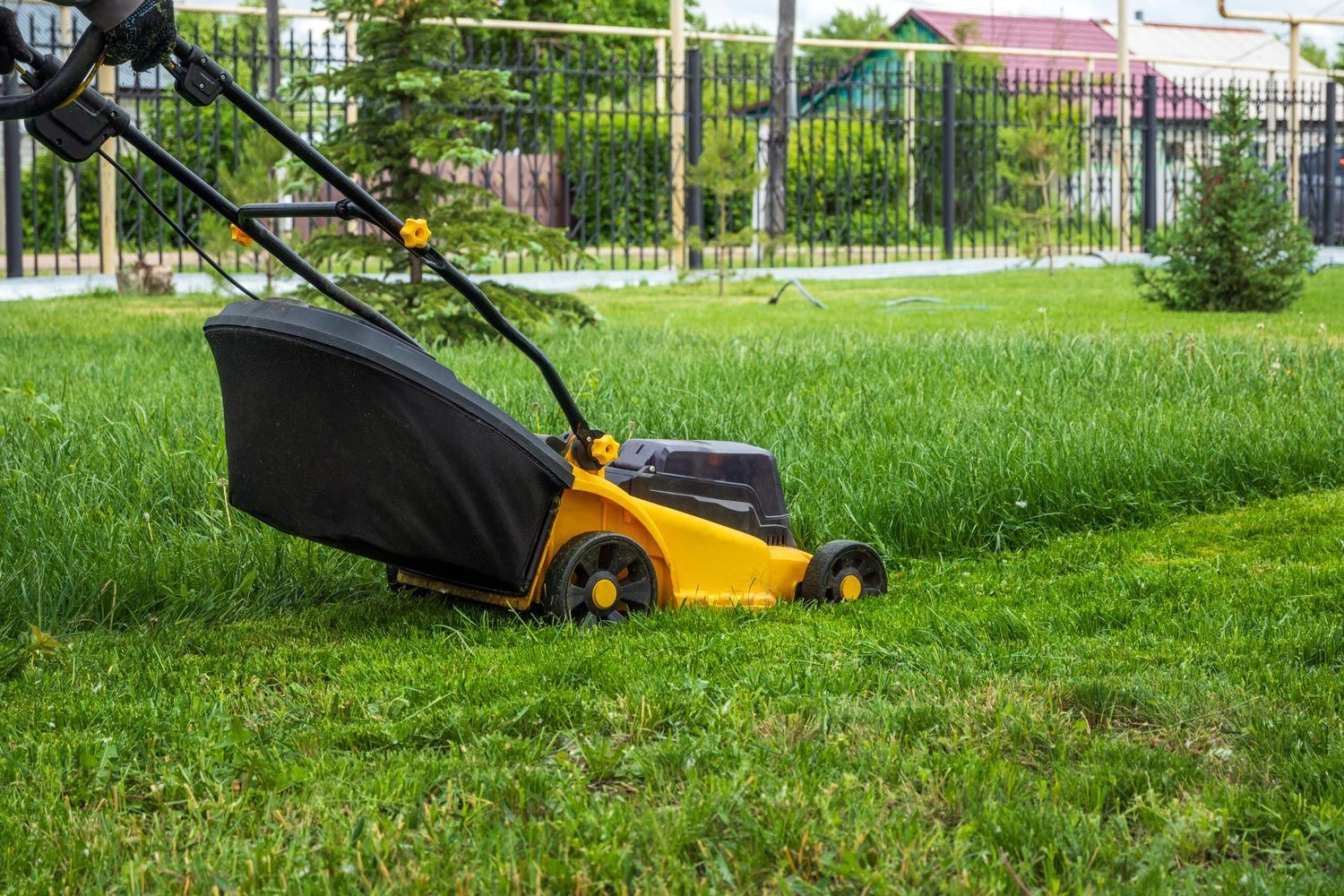 Black and yellow lawn mower on a grassy yard near a fence and house background