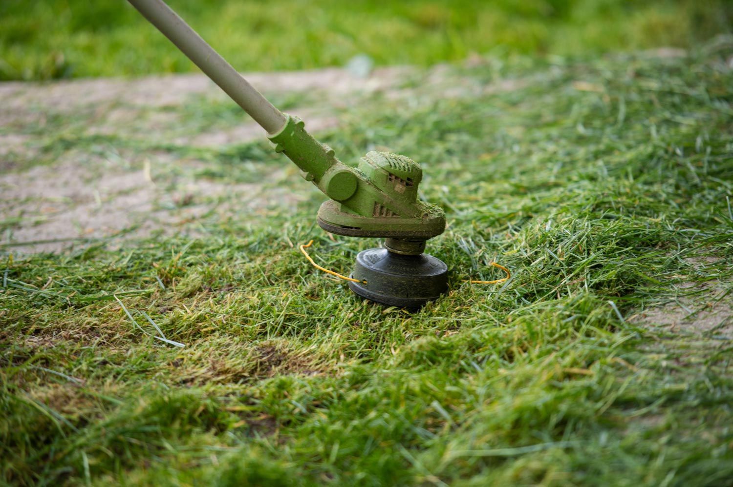 Gas-powered string trimmer cutting grass in a yard