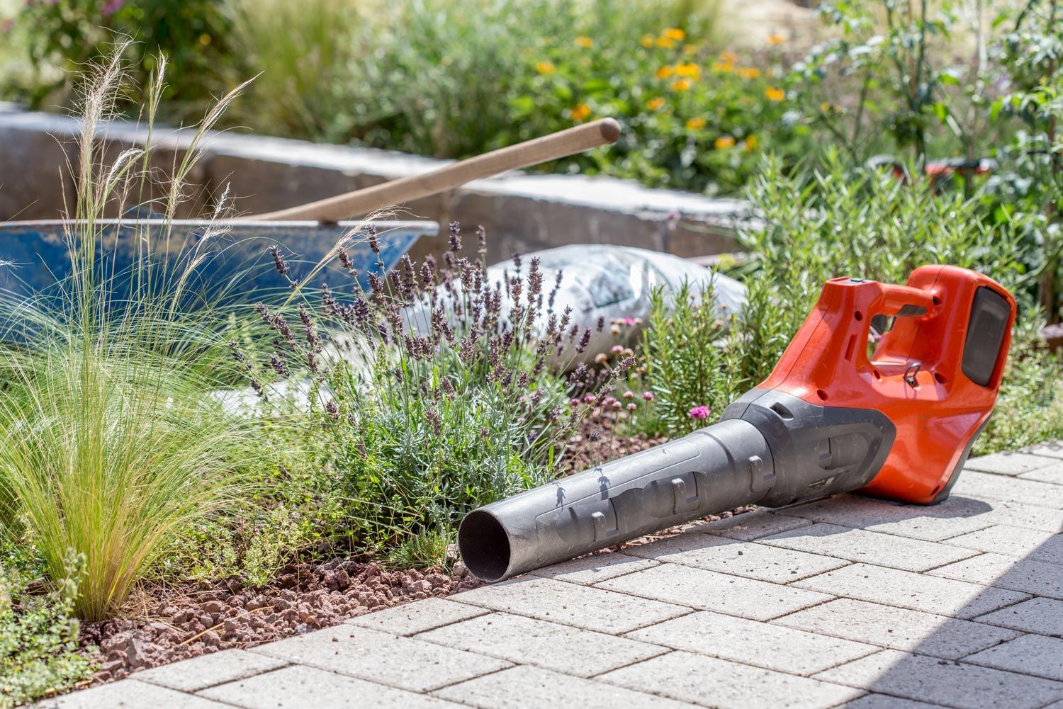 Orange leaf blower on a paved path beside a pool, with garden grass and plants nearby