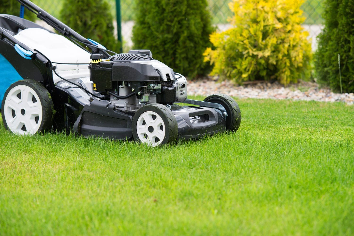 Black lawn mower on green grass beside a garden path and shrubs