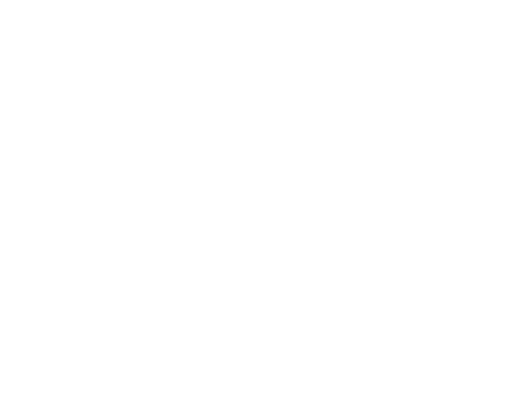 White logo for Visionary Holiday Lighting