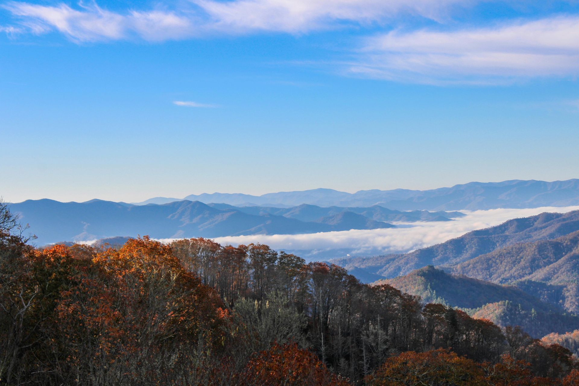 Blue Ridge Mountains landscape near Charlottesville, Virginia
