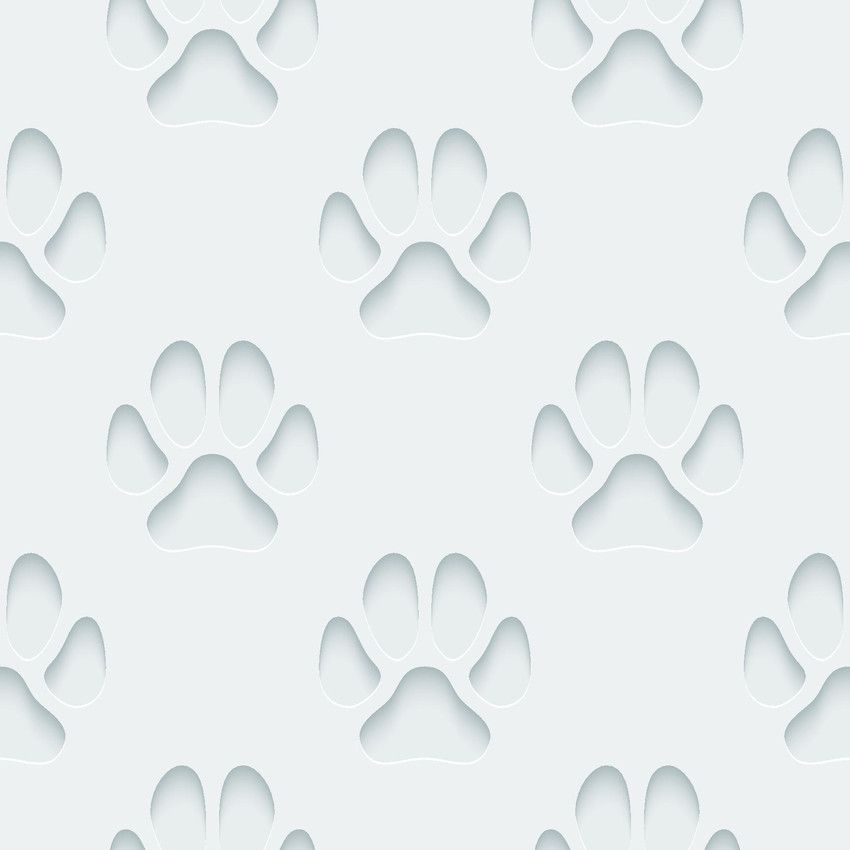 Paw pattern