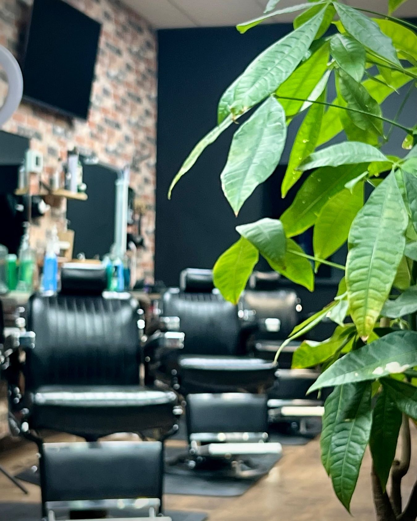Black salon chairs and mirrors in a barbershop, with green plant leaves in the foreground.