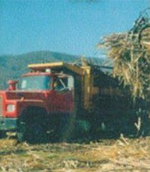 DINTECO S.A.C