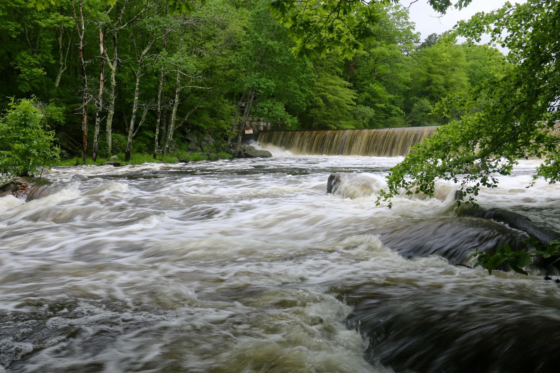 Rushing whitewater river beside dense green trees and a small waterfall