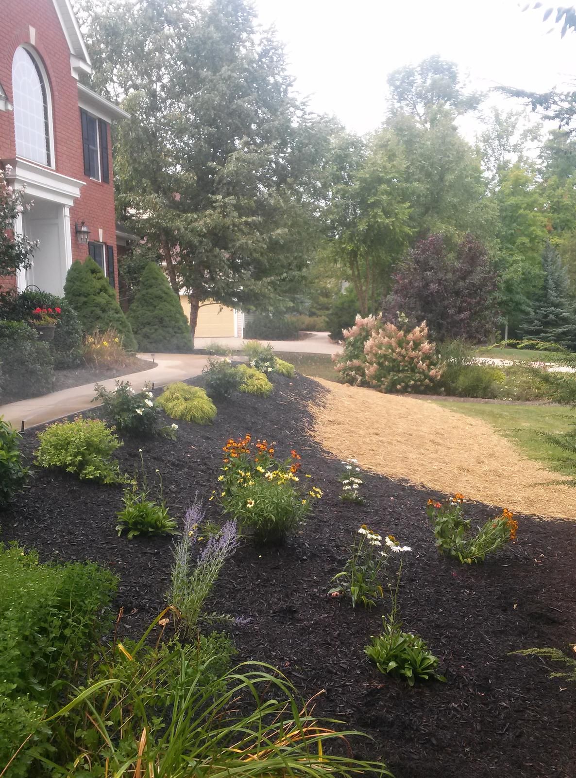 Landscaped garden bed with dark mulch.