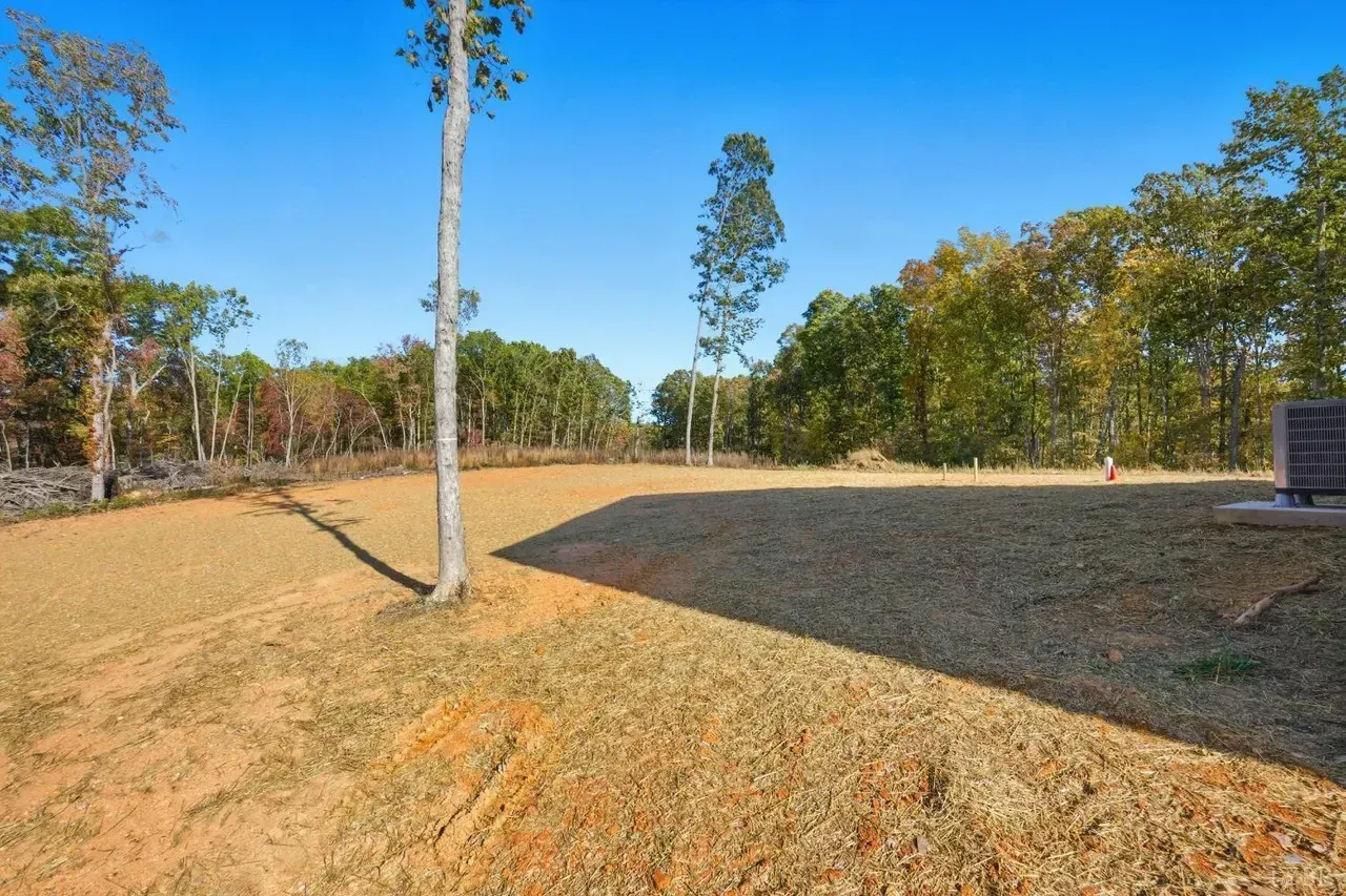 A sloped, grassy backyard with tall trees under a bright blue sky, showing a long shadow cast across the lawn.