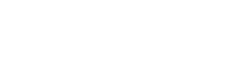 Company Logo - Footer
