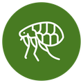 Flea Control Icon