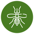 Mosquito Control Icon