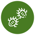 Pest Control Icon