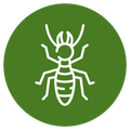 Termite Control Icon