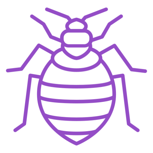 Bed Bug Icon SmartGreen Pest and Mosquito Control Bed Bug Icon