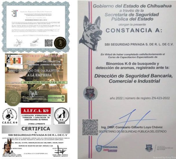SBI SEGURIDAD BANCARIA E INDUSTRIAL
