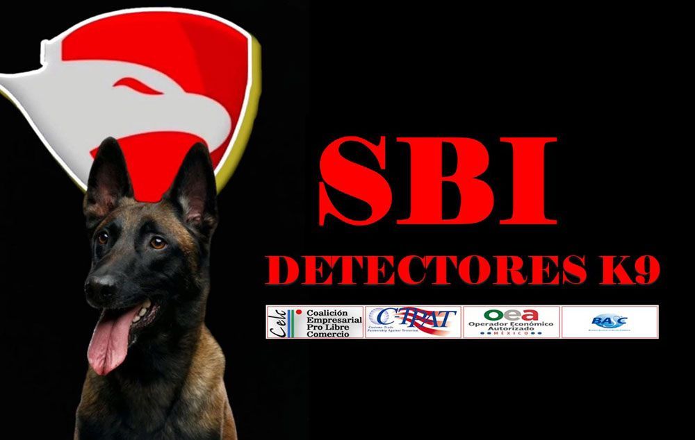 SBI SEGURIDAD BANCARIA E INDUSTRIAL