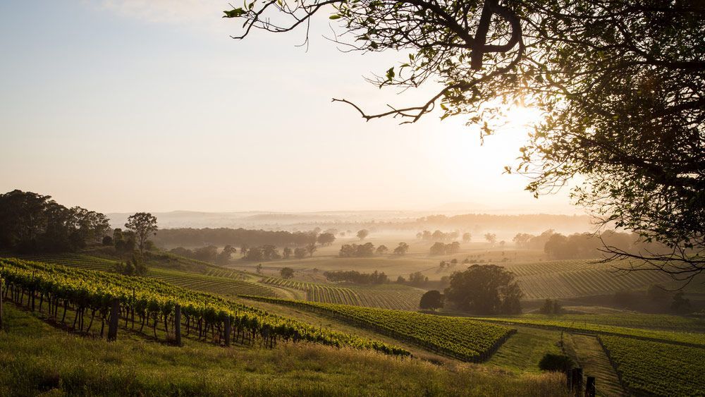Sunrise Over Hunter Valley Vineyards — Communication Systems in Hunter Valley, NSW