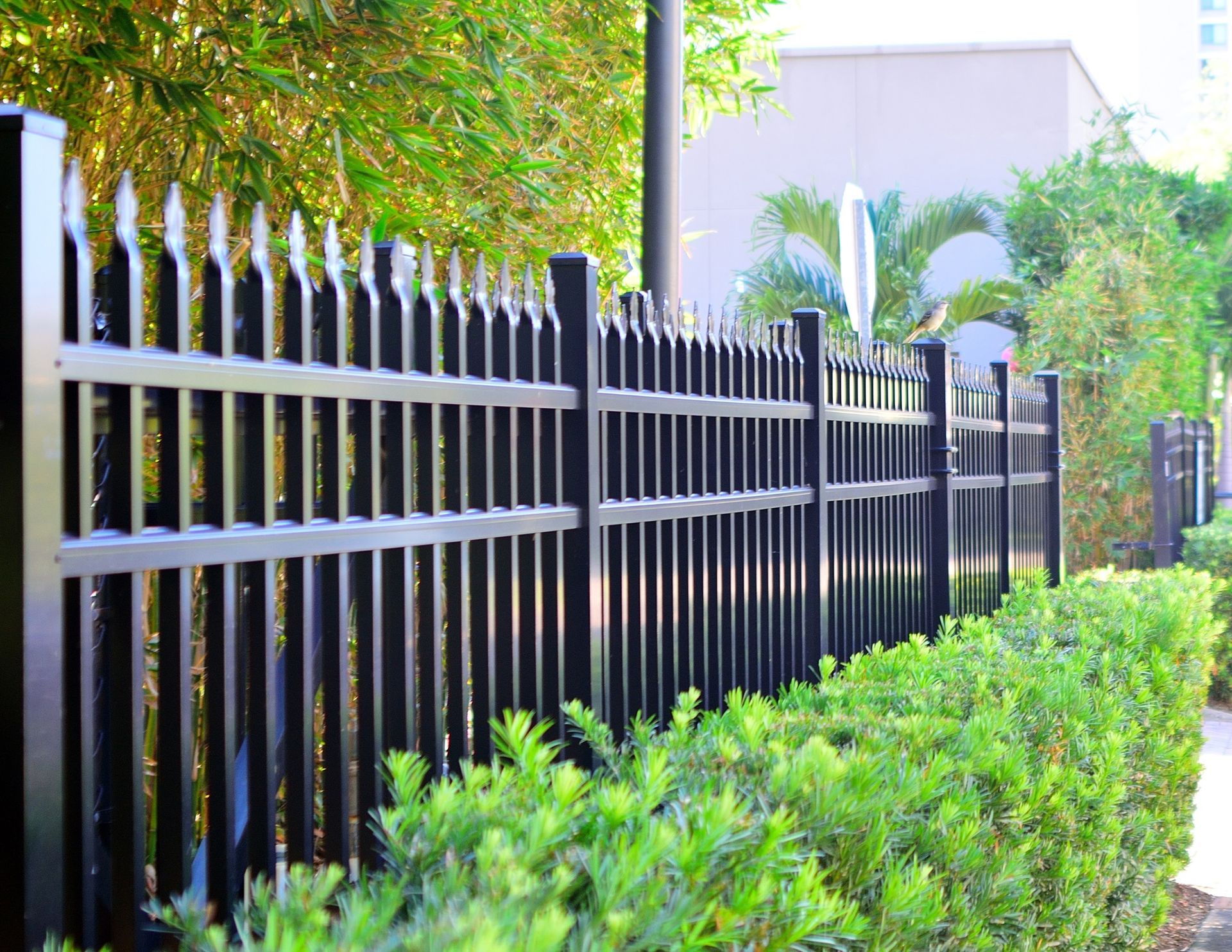 fencing Fort Lauderdale