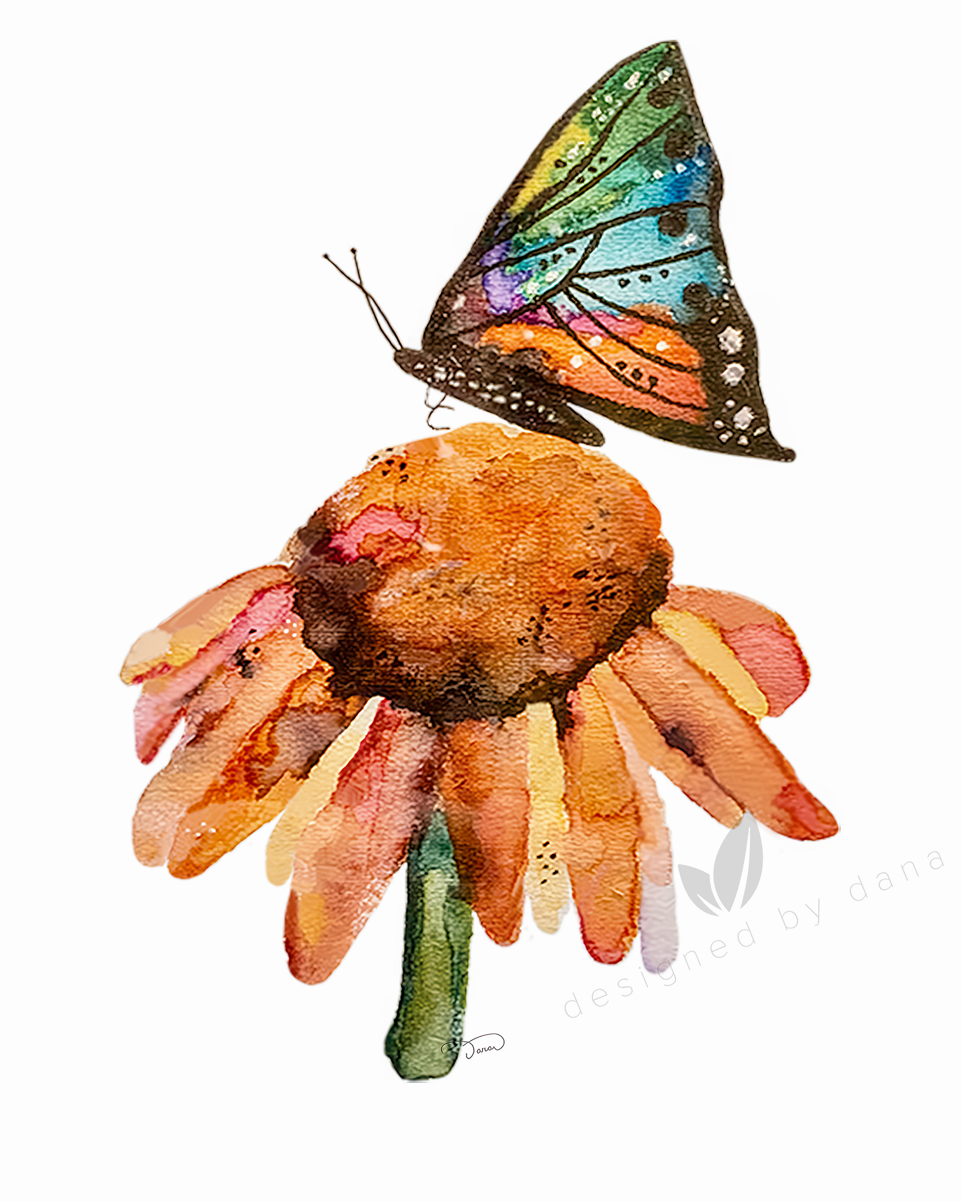 Limited ~ Edition, Hand ~ Signed & Numbered Watercolor Art by Dana