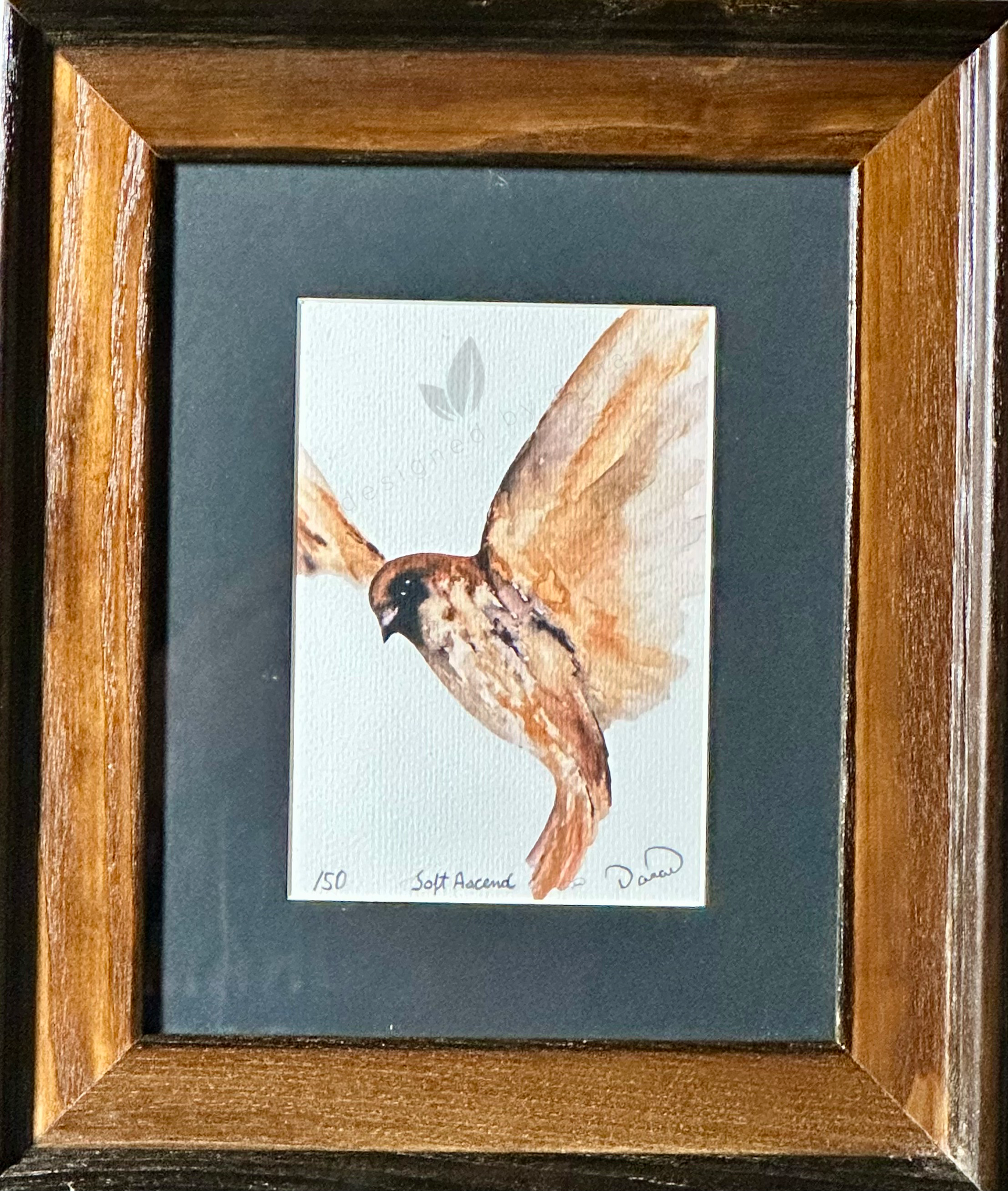 Soft Ascend ~ 5 x 7