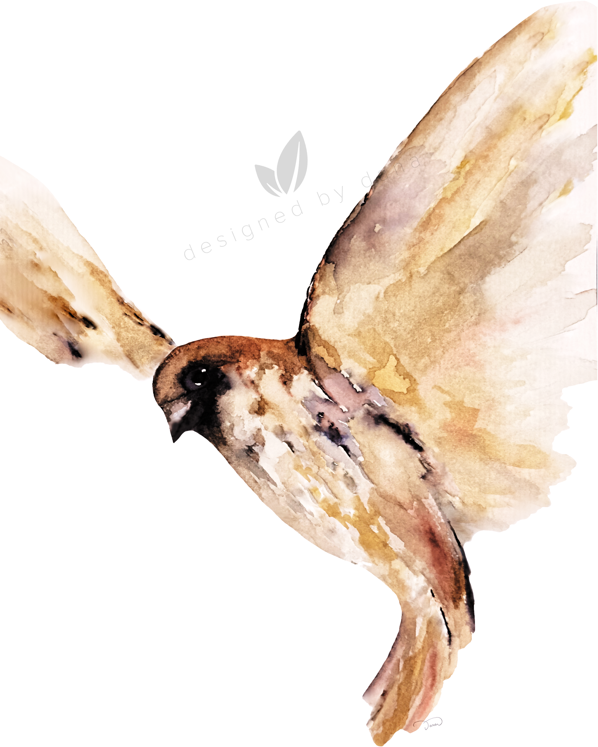 Soft Ascend ~ 8 x 10