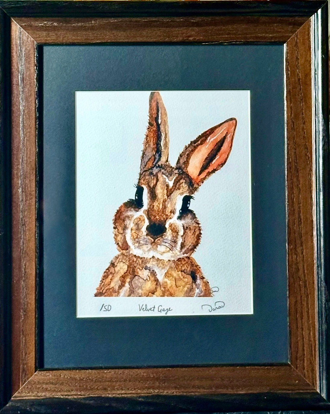 Velvet Gaze ~ 8 x 10