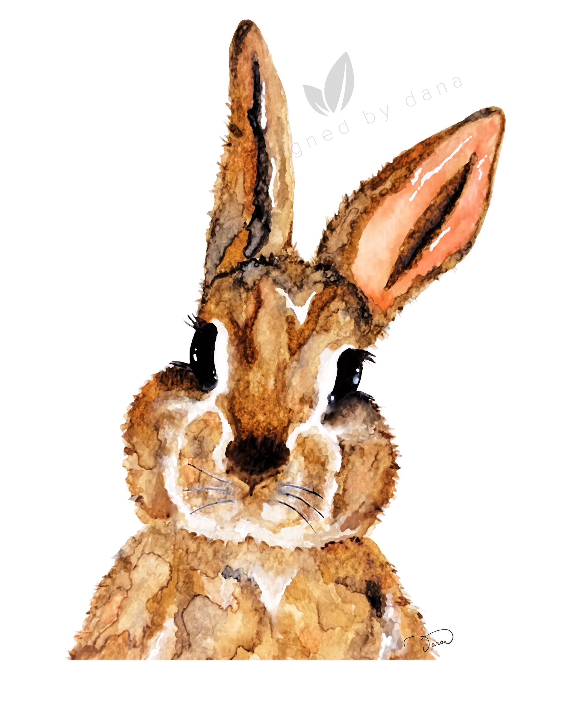 Velvet Gaze ~ 8 x 10