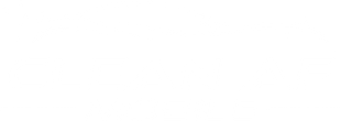 Clean AF Mobile Logo
