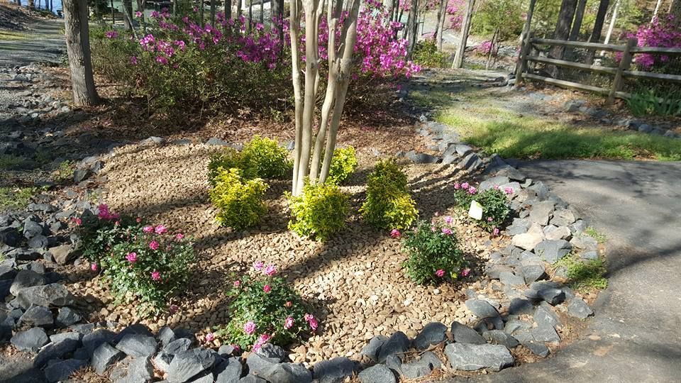 A circular flower bed with pink flowers and light brown rocks, surrounded by dark rocks and a paved path.