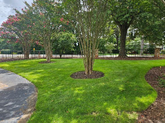 Lush green lawn with trees and a black fence, curving sidewalk on the left.