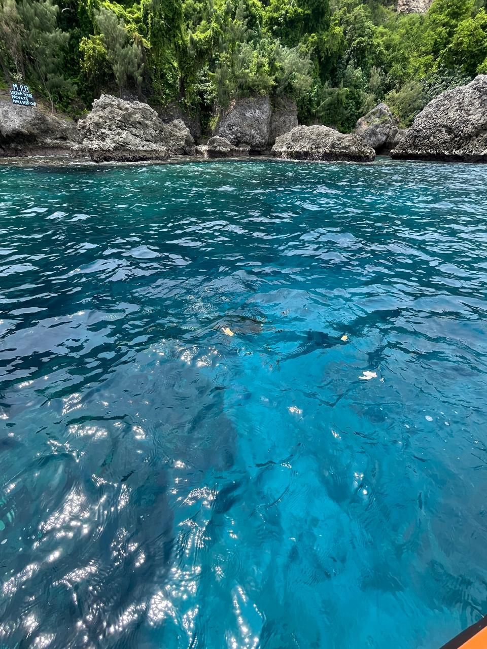 Hideaway Island Snorkel Day