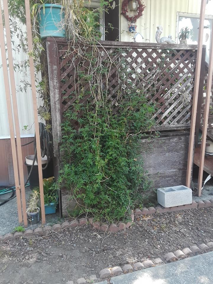A Good Handyman, Vallejo CA, Benicia CA, Martinez CA, Pacheco CA, Concord CA, Clayton CA, Pleasant Hill CA, Lafayette CA, Orinda CA, Alamo CA, Danville CA, Blackhawk CA, Pinole CA, El Sobrante CA, El Cerrito CA, Fairfield CA, Vacaville CA, American Canyon CA, Walnut Creek CA, Hercules CA, Handyman, Handyman Near me, Vallejo Handyman, Benicia Handyman, Martinez Handyman, Pacheco Handyman, Concord Handyman, Clayton Handyman, Pleasant Hill Handyman, Lafayette Handyman, Orinda Handyman, Alamo Handyman, Danville Handyman, Blackhawk Handyman, Pinole Handyman, El Sobrante Handyman, El Cerrito Handyman, Fairfield Handyman, Vacaville Handyman, American Canyon Handyman, Walnut Creek Handyman, Hercules Handyman, Painter Near Me, Painting, Interior Painting, Paint Baseboards, Paint Trim, Wall Repairs, Wall Patching, Deck Painting, Bathroom Upgrades, Light Plumbing, Plumbing Leak Repair, Replace Bathroom Faucet, Upgrade Bathroom Faucet, Leaky Faucet, Replace Toilets, Replace Toilet, Leaky Toilet, Install New Vanities, Install Grab Bar, Install Safety Bar in Bathtub, Re-Caulk Tub, Re-Caulk Shower, Regrout Tile, Bathroom Fan Installation, Vanity Faucet Installation, Vanity Faucet Replacement, Bathroom Fans, Kitchen Upgrade, Install Garbage Disposal, Replace Garbage Disposal, Repair Leaks Under Sink, Replace Kitchen Faucet, Upgrade Kitchen Faucet, Installing Plumbing Fixtures, Replacing Plumbing Fixture, Light Switch Installation, Outlet Installation, Install Light Dimmers, Handyman Electrical Repairs, Garbage Disposal Installation, Install new Kitchen Appliances, Dishwasher Installation, Stove Installation, Microwave Installation, Oven Installation, Install Light Fixtures, Ceiling Fan Installation, Light Switch Installation, Outlet Installation, Exterior House Upgrades, Decks Repairs, Deck Maintenance, Deck Re-Staining, Fence Repairs, Fence Re-Staining, Sidewalk Crack Repair, Driveway Crack Repair, Locking Mailbox Installation, janitorial services, cleaning services, housekeeping, maid services, commercial cleaning, office cleaning, junk hauling near me, junk removal near me, commercial junk hauling, commercial box hauling, graffiti cleanup, graffiti mirror removal, graffiti mirror replacement