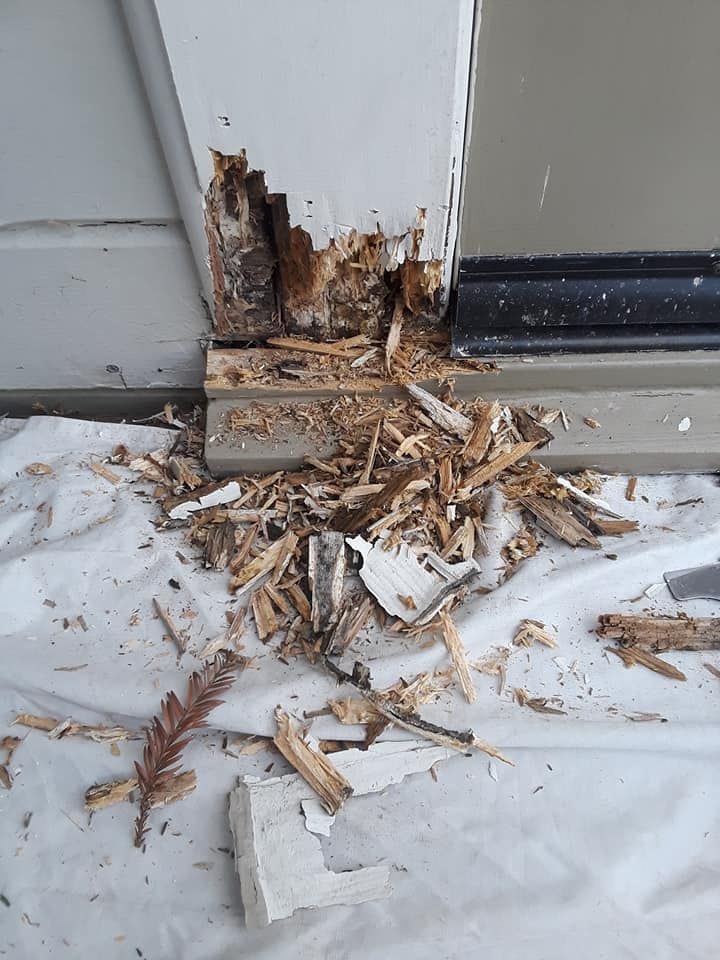 A Good Handyman, Vallejo CA, Benicia CA, Martinez CA, Pacheco CA, Concord CA, Clayton CA, Pleasant Hill CA, Lafayette CA, Orinda CA, Alamo CA, Danville CA, Blackhawk CA, Pinole CA, El Sobrante CA, El Cerrito CA, Fairfield CA, Vacaville CA, American Canyon CA, Walnut Creek CA, Hercules CA, Handyman, Handyman Near me, Vallejo Handyman, Benicia Handyman, Martinez Handyman, Pacheco Handyman, Concord Handyman, Clayton Handyman, Pleasant Hill Handyman, Lafayette Handyman, Orinda Handyman, Alamo Handyman, Danville Handyman, Blackhawk Handyman, Pinole Handyman, El Sobrante Handyman, El Cerrito Handyman, Fairfield Handyman, Vacaville Handyman, American Canyon Handyman, Walnut Creek Handyman, Hercules Handyman, Painter Near Me, Painting, Interior Painting, Paint Baseboards, Paint Trim, Wall Repairs, Wall Patching, Deck Painting, Bathroom Upgrades, Light Plumbing, Plumbing Leak Repair, Replace Bathroom Faucet, Upgrade Bathroom Faucet, Leaky Faucet, Replace Toilets, Replace Toilet, Leaky Toilet, Install New Vanities, Install Grab Bar, Install Safety Bar in Bathtub, Re-Caulk Tub, Re-Caulk Shower, Regrout Tile, Bathroom Fan Installation, Vanity Faucet Installation, Vanity Faucet Replacement, Bathroom Fans, Kitchen Upgrade, Install Garbage Disposal, Replace Garbage Disposal, Repair Leaks Under Sink, Replace Kitchen Faucet, Upgrade Kitchen Faucet, Installing Plumbing Fixtures, Replacing Plumbing Fixture, Light Switch Installation, Outlet Installation, Install Light Dimmers, Handyman Electrical Repairs, Garbage Disposal Installation, Install new Kitchen Appliances, Dishwasher Installation, Stove Installation, Microwave Installation, Oven Installation, Install Light Fixtures, Ceiling Fan Installation, Light Switch Installation, Outlet Installation, Exterior House Upgrades, Decks Repairs, Deck Maintenance, Deck Re-Staining, Fence Repairs, Fence Re-Staining, Sidewalk Crack Repair, Driveway Crack Repair, Locking Mailbox Installation, janitorial services, cleaning services, housekeeping, maid services, commercial cleaning, office cleaning, junk hauling near me, junk removal near me, commercial junk hauling, commercial box hauling, graffiti cleanup, graffiti mirror removal, graffiti mirror replacement