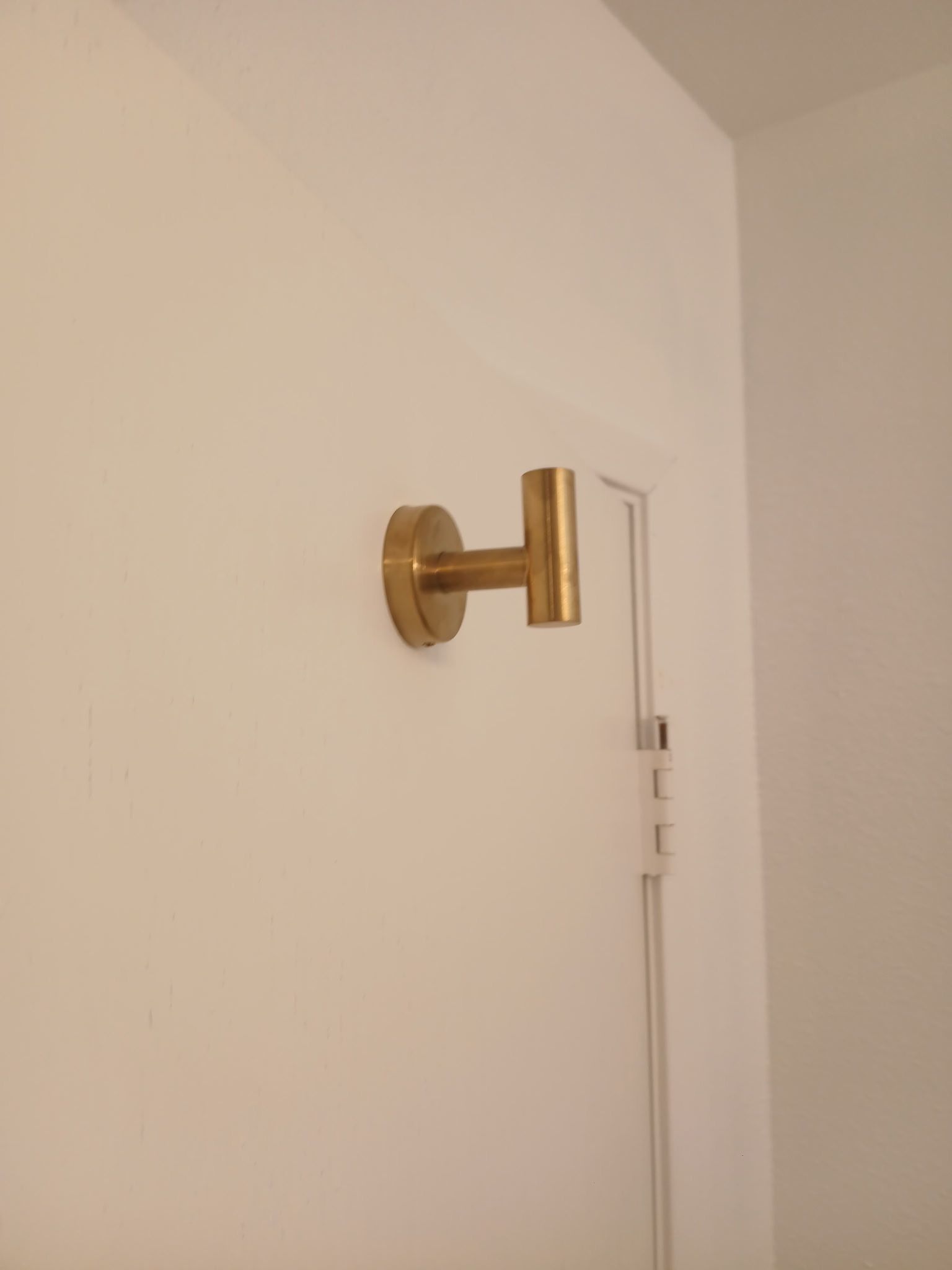 Brass towel hook mounted on bathroom wall