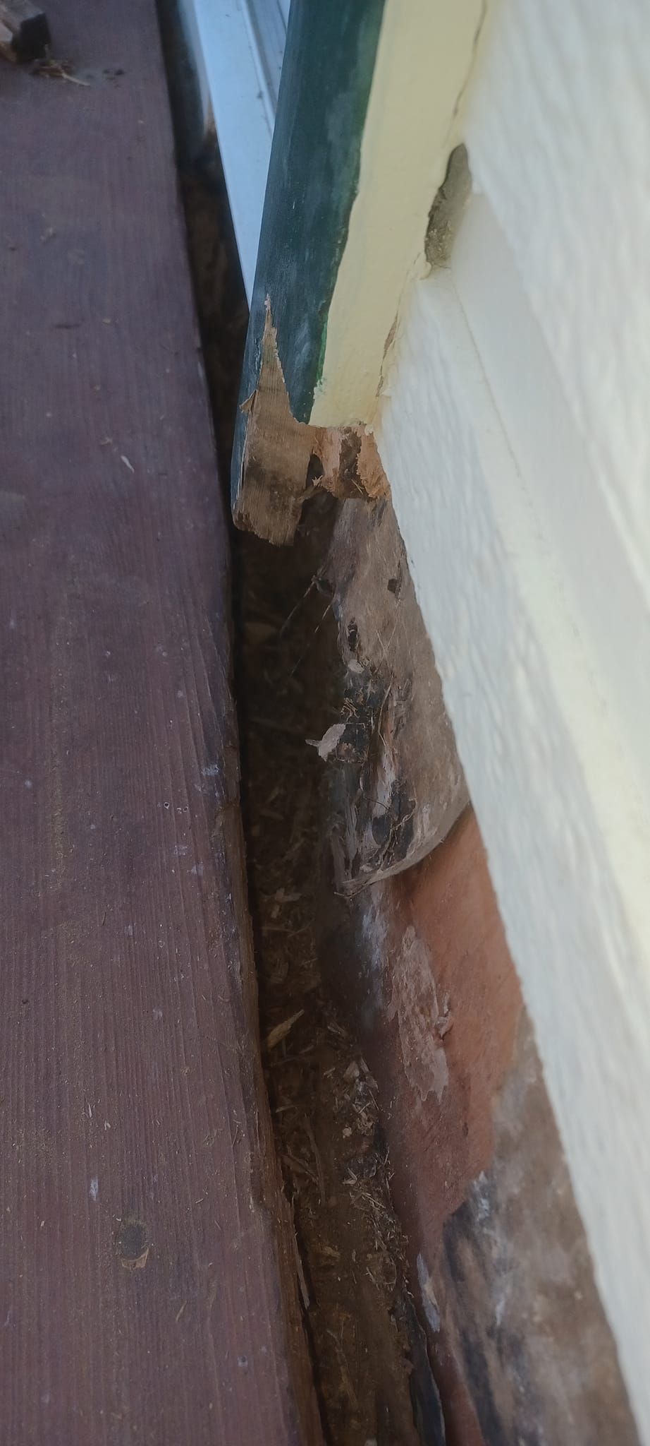 A Good Handyman, Vallejo CA, Benicia CA, Martinez CA, Pacheco CA, Concord CA, Clayton CA, Pleasant Hill CA, Lafayette CA, Orinda CA, Alamo CA, Danville CA, Blackhawk CA, Pinole CA, El Sobrante CA, El Cerrito CA, Fairfield CA, Vacaville CA, American Canyon CA, Walnut Creek CA, Hercules CA, Handyman, Handyman Near me, Vallejo Handyman, Benicia Handyman, Martinez Handyman, Pacheco Handyman, Concord Handyman, Clayton Handyman, Pleasant Hill Handyman, Lafayette Handyman, Orinda Handyman, Alamo Handyman, Danville Handyman, Blackhawk Handyman, Pinole Handyman, El Sobrante Handyman, El Cerrito Handyman, Fairfield Handyman, Vacaville Handyman, American Canyon Handyman, Walnut Creek Handyman, Hercules Handyman, Painter Near Me, Painting, Interior Painting, Paint Baseboards, Paint Trim, Wall Repairs, Wall Patching, Deck Painting, Bathroom Upgrades, Light Plumbing, Plumbing Leak Repair, Replace Bathroom Faucet, Upgrade Bathroom Faucet, Leaky Faucet, Replace Toilets, Replace Toilet, Leaky Toilet, Install New Vanities, Install Grab Bar, Install Safety Bar in Bathtub, Re-Caulk Tub, Re-Caulk Shower, Regrout Tile, Bathroom Fan Installation, Vanity Faucet Installation, Vanity Faucet Replacement, Bathroom Fans, Kitchen Upgrade, Install Garbage Disposal, Replace Garbage Disposal, Repair Leaks Under Sink, Replace Kitchen Faucet, Upgrade Kitchen Faucet, Installing Plumbing Fixtures, Replacing Plumbing Fixture, Light Switch Installation, Outlet Installation, Install Light Dimmers, Handyman Electrical Repairs, Garbage Disposal Installation, Install new Kitchen Appliances, Dishwasher Installation, Stove Installation, Microwave Installation, Oven Installation, Install Light Fixtures, Ceiling Fan Installation, Light Switch Installation, Outlet Installation, Exterior House Upgrades, Decks Repairs, Deck Maintenance, Deck Re-Staining, Fence Repairs, Fence Re-Staining, Sidewalk Crack Repair, Driveway Crack Repair, Locking Mailbox Installation, janitorial services, cleaning services, housekeeping, maid services, commercial cleaning, office cleaning, junk hauling near me, junk removal near me, commercial junk hauling, commercial box hauling, graffiti cleanup, graffiti mirror removal, graffiti mirror replacement