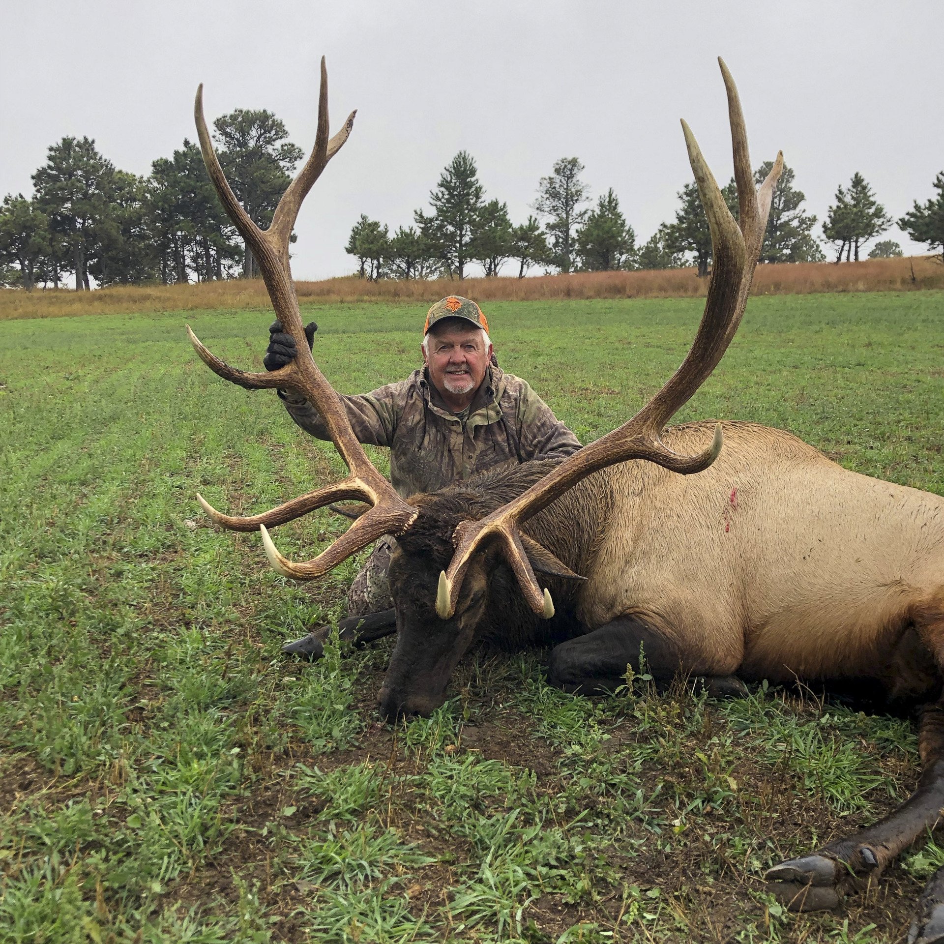 Gallery Nebraska Elk Outfitters, Crawford, NE