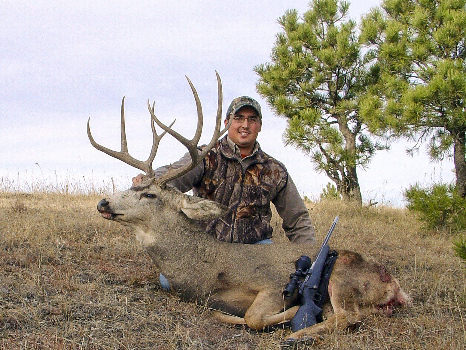 Deer Image