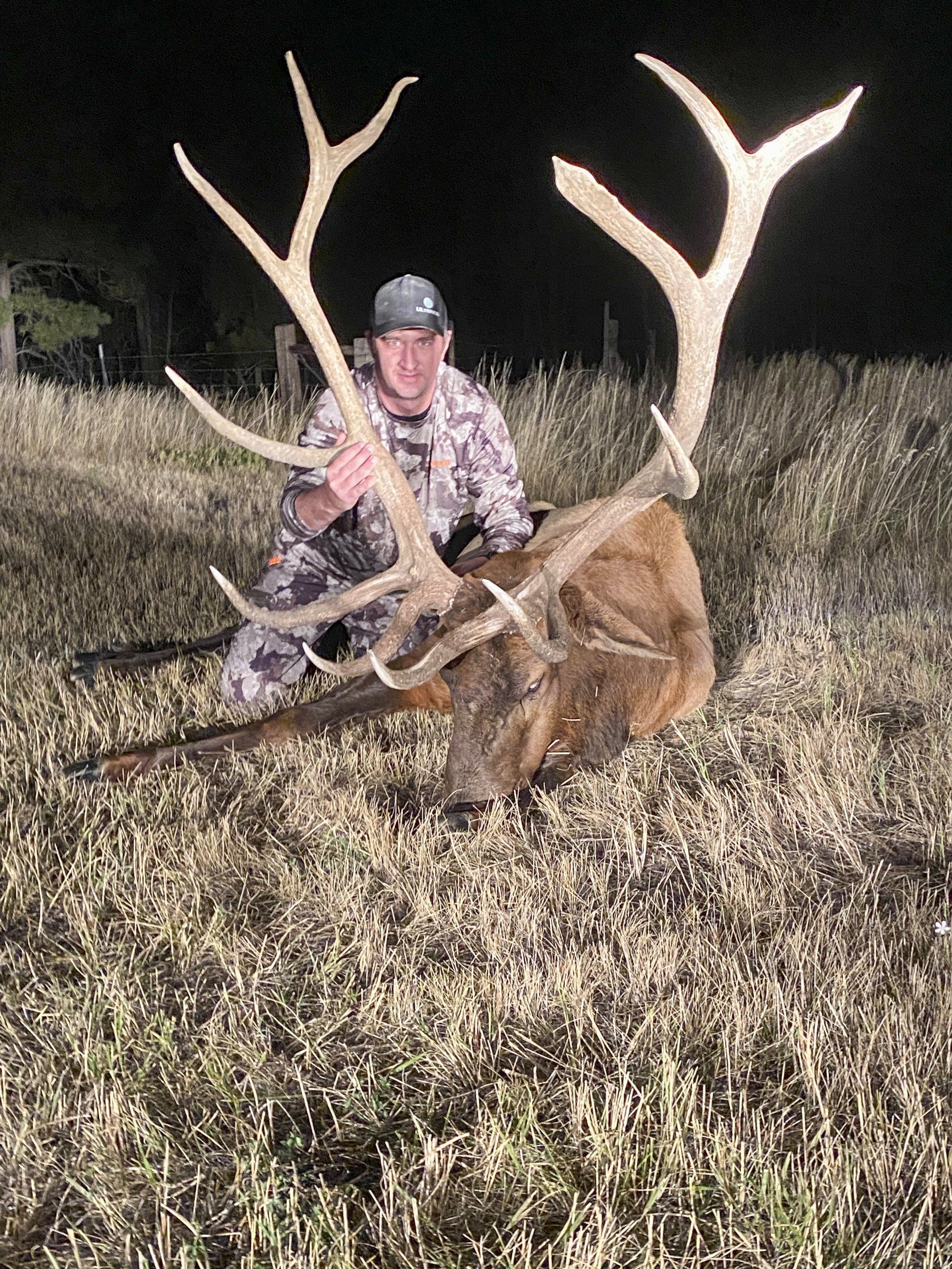 Elk Trophies