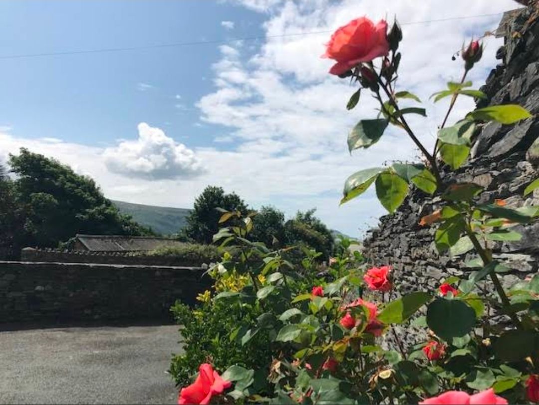 Red roses bloom beside a stone wall under a bright blue sky with clouds.