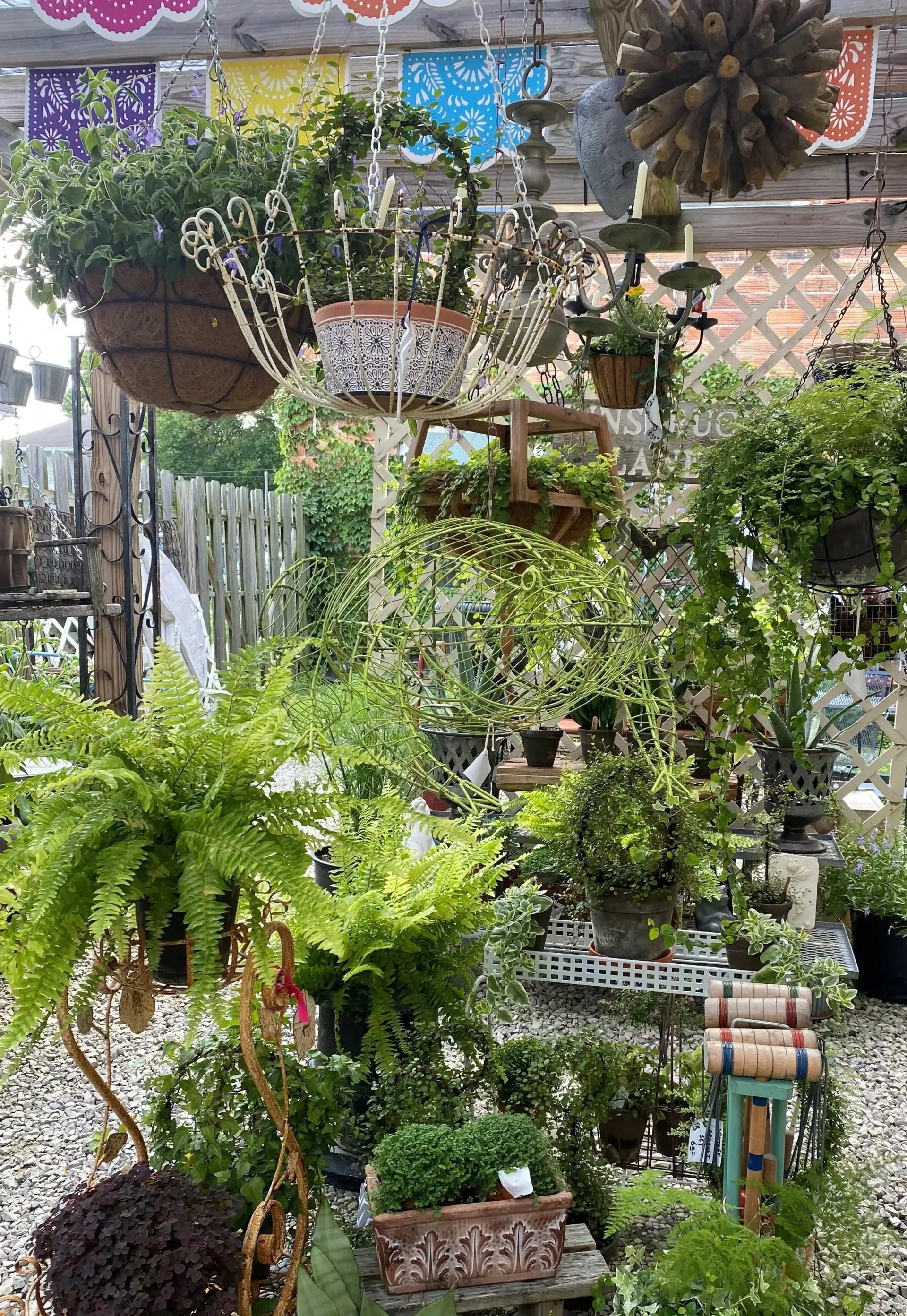 Hanging potted plants and ferns in a lush garden display with a decorative stone backdrop