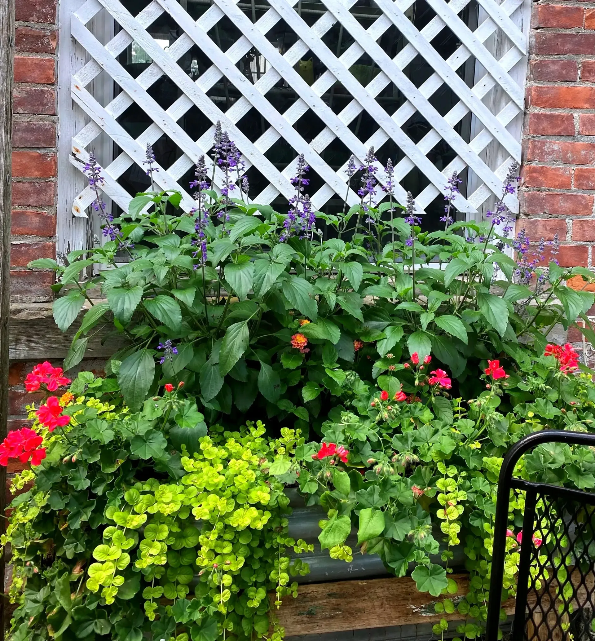 Colorful flower planter beneath a white lattice window against a brick wall